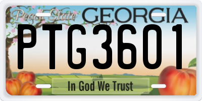 GA license plate PTG3601