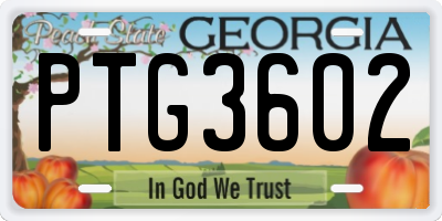 GA license plate PTG3602