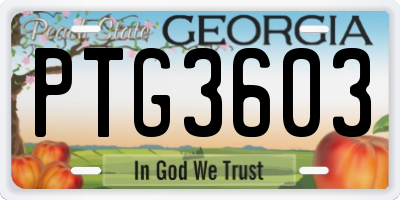GA license plate PTG3603
