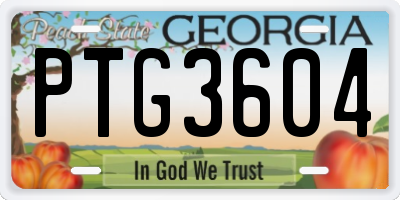 GA license plate PTG3604