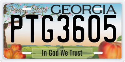 GA license plate PTG3605