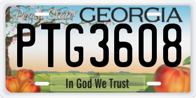 GA license plate PTG3608