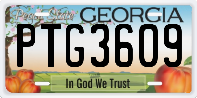 GA license plate PTG3609