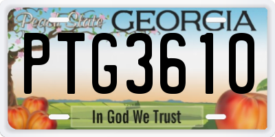 GA license plate PTG3610