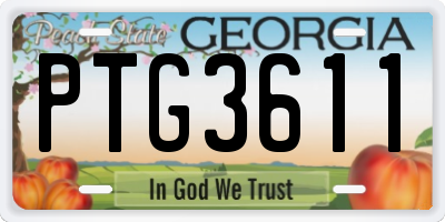 GA license plate PTG3611