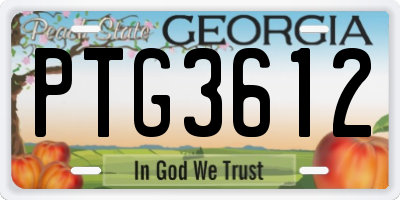 GA license plate PTG3612