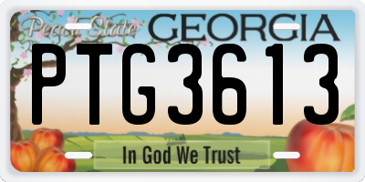 GA license plate PTG3613