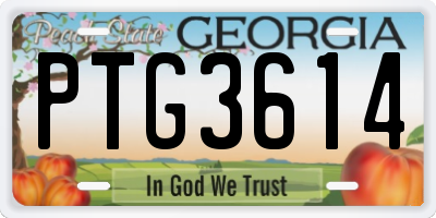 GA license plate PTG3614