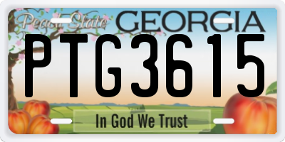 GA license plate PTG3615