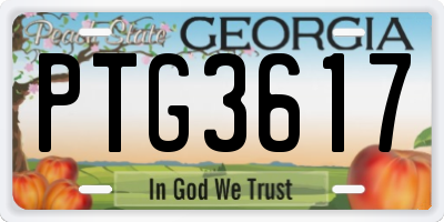 GA license plate PTG3617