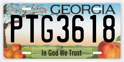 GA license plate PTG3618