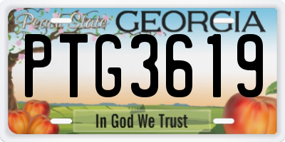 GA license plate PTG3619