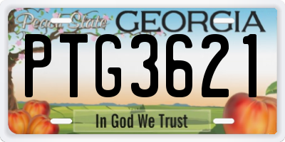 GA license plate PTG3621