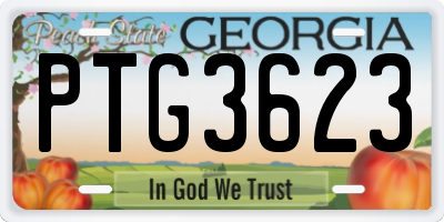 GA license plate PTG3623