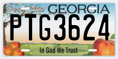 GA license plate PTG3624