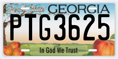 GA license plate PTG3625