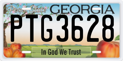 GA license plate PTG3628