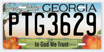 GA license plate PTG3629