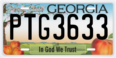 GA license plate PTG3633