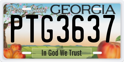 GA license plate PTG3637