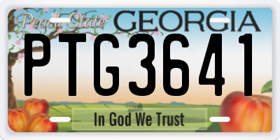 GA license plate PTG3641