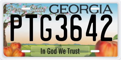 GA license plate PTG3642