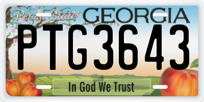 GA license plate PTG3643