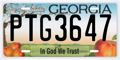 GA license plate PTG3647