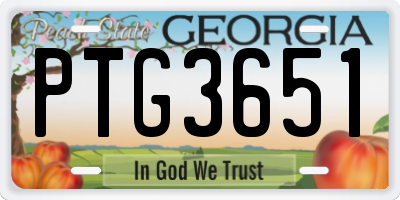 GA license plate PTG3651