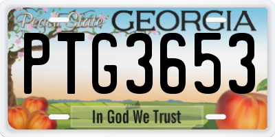 GA license plate PTG3653