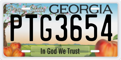 GA license plate PTG3654
