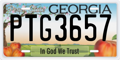GA license plate PTG3657