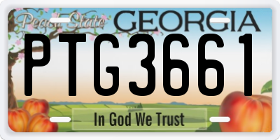 GA license plate PTG3661