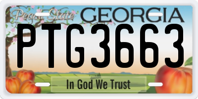 GA license plate PTG3663