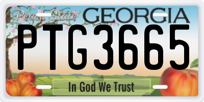 GA license plate PTG3665