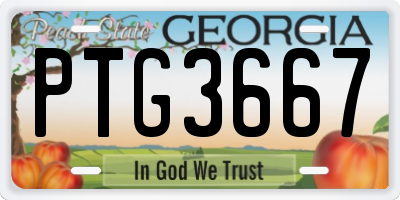 GA license plate PTG3667