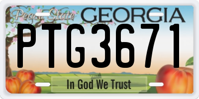 GA license plate PTG3671