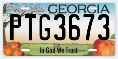 GA license plate PTG3673