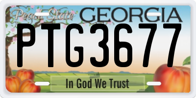 GA license plate PTG3677