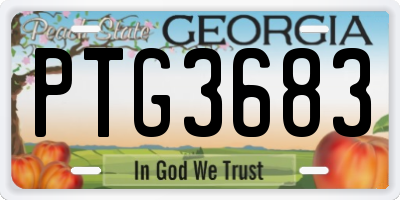 GA license plate PTG3683