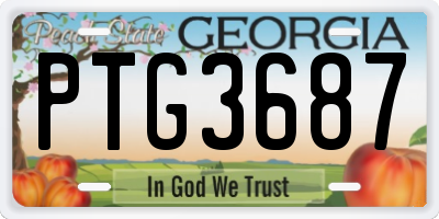 GA license plate PTG3687