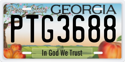 GA license plate PTG3688