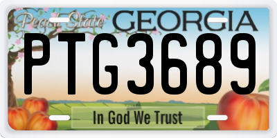 GA license plate PTG3689