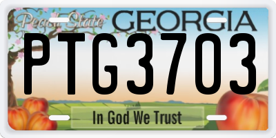 GA license plate PTG3703