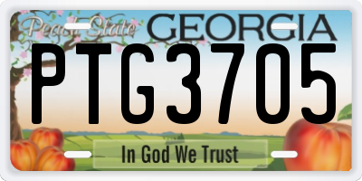 GA license plate PTG3705