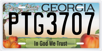 GA license plate PTG3707