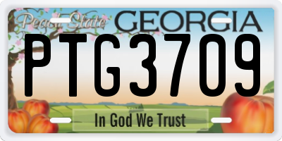 GA license plate PTG3709