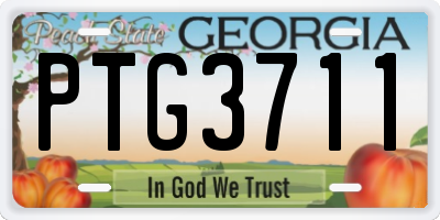 GA license plate PTG3711