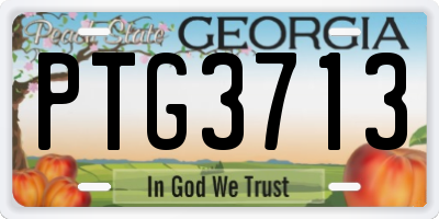 GA license plate PTG3713
