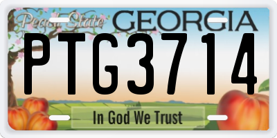 GA license plate PTG3714